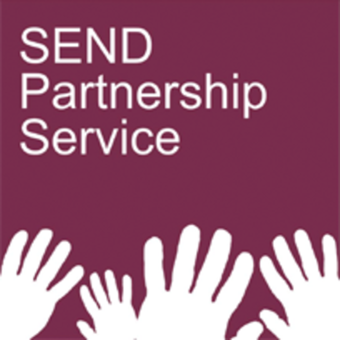 SEND Partnership Service Annual Report 2020-2021