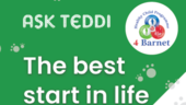 Ask Teddi App