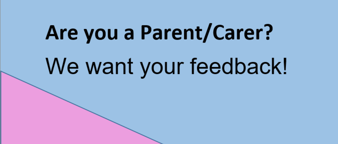 Light blue background with pink strip on left hand side. Text reads Are you a Parent/Career? We would like your feedback!