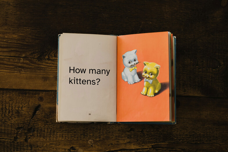 Vintage children's book with "How many kittens?" written on one page and two illustrated kittens on the other.