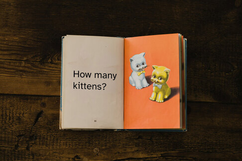 Vintage children's book with "How many kittens?" written on one page and two illustrated kittens on the other.