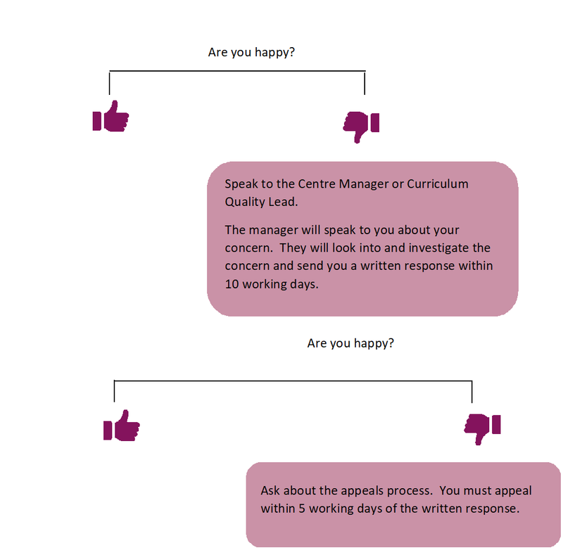 Diagram of the SAFL Complaints Process