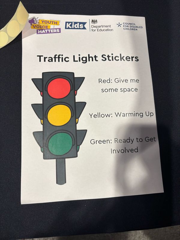 traffic light system