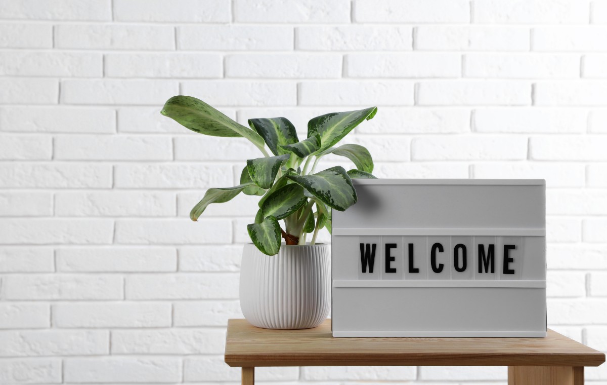 A lightbox on a wooden table that displays the words Welcome. Next to it a houseplant in a white pot. 