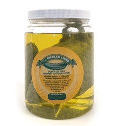 Pickled liver model in a jar 