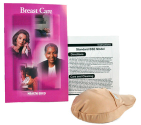 beige model of breast with information guide 
