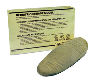 beige model of geriatric breast with model information guide 