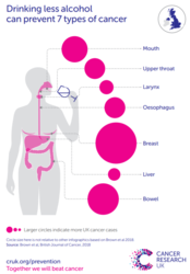infographic showing different part of the body and what cancers can be caused. 