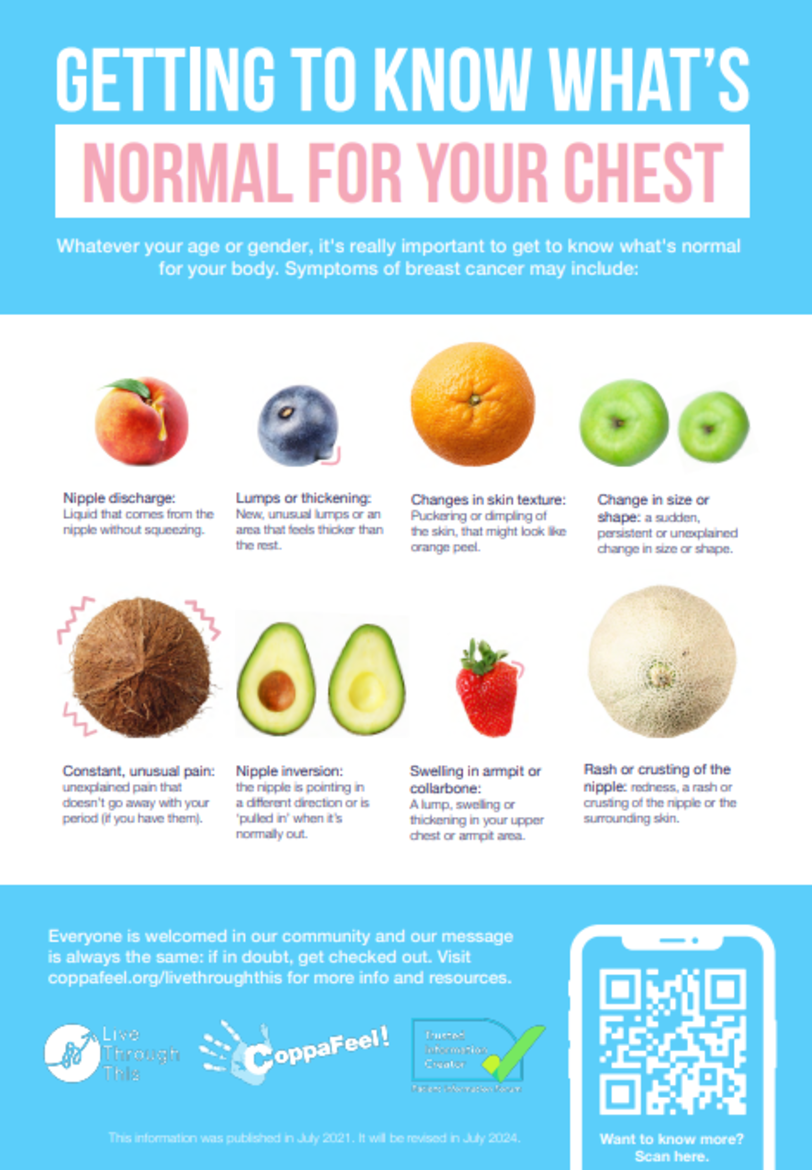 Blue and white leaflet cover showing different fruits symbolising different symptoms