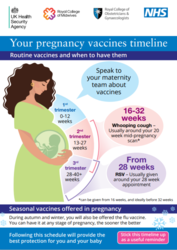 A pregnant person with different info graphs 