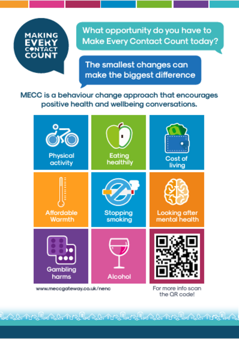 MECC poster with colourful blocks for each category 