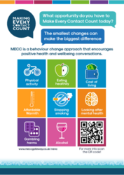 MECC poster with colourful blocks for each category 
