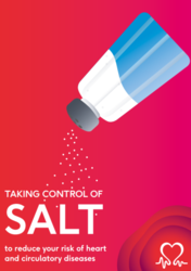 Red leaflet cover with a cartoon image of a salt shaker, titled; Taking control of salt