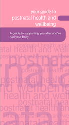 Pink and purple leaflet cover with the title Your guide to post-natal health and wellbeing
