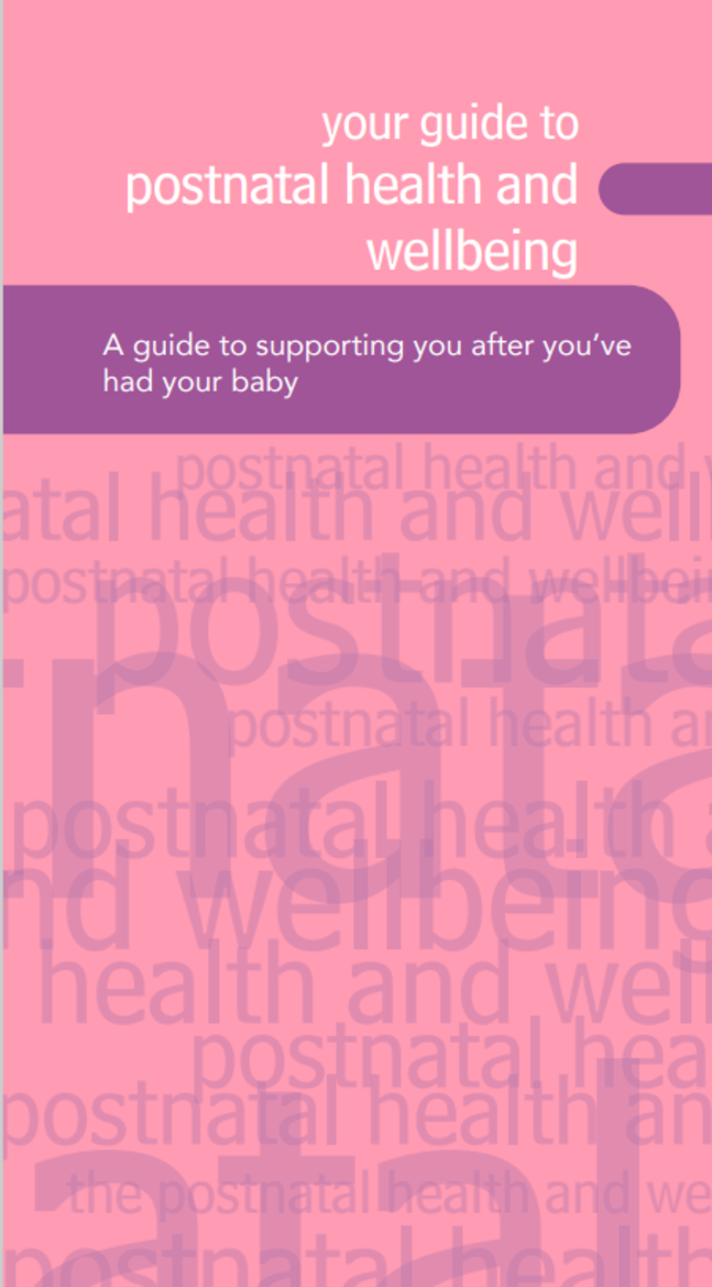 Pink and purple leaflet cover with the title Your guide to post-natal health and wellbeing